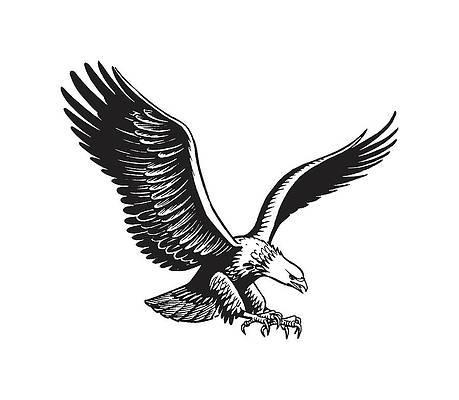 Change mindset Soar like an Eagle